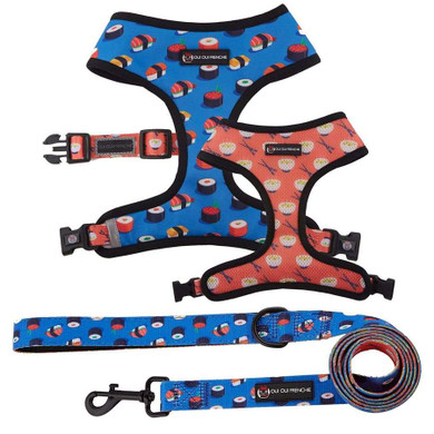 Mesh Harness/Leash Combo Set