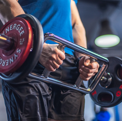 Synergee Tricep Bars