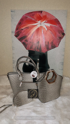Alligator and Ostrich Leatherette Handbag Set