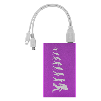 Evolution Power Bank