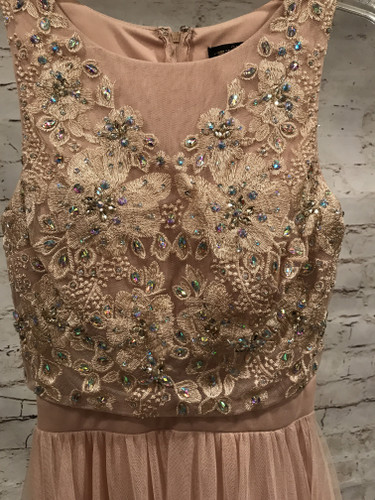 TAN PRINCESS GOWN