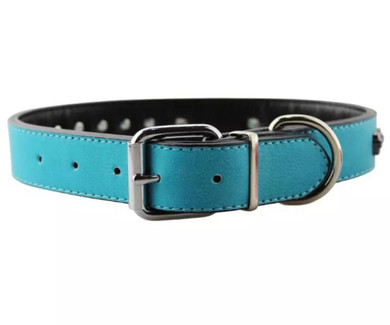 Skull personalized dog collar