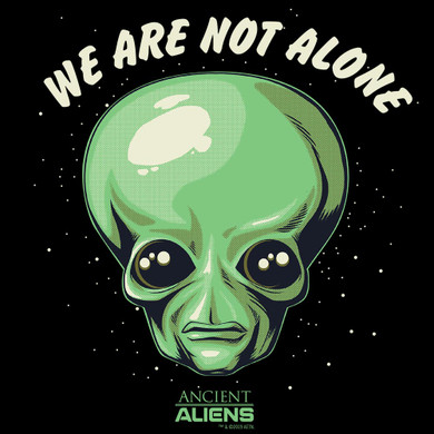Ancient Aliens We are Not Alone Sherpa Blanket