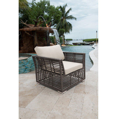 Graphite Lounge Chair with Cushions