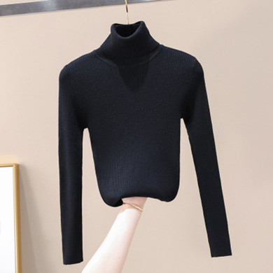 Women Knitted Turtleneck Sweater