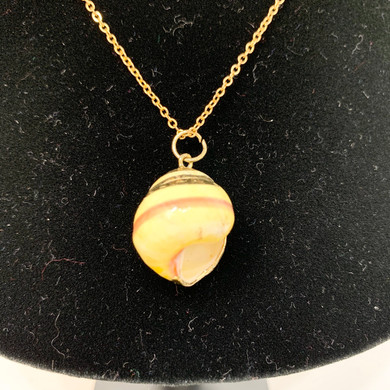Sarina Seashell Necklace