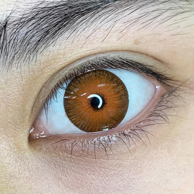 Dark brown (12 months) contact lenses