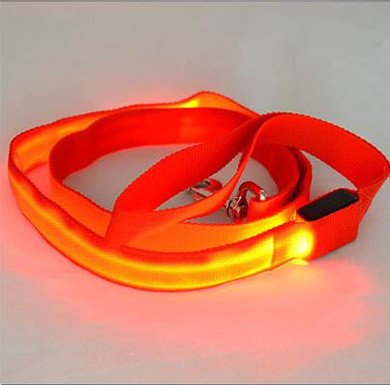 LED DOG NIGHT SAFETY LEASH OFFER