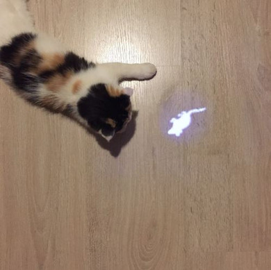 CAT LED ANIMATION MOUSE LAZER POINTER TOY