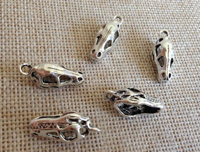 5 Dinosaur Fossil Head Charms