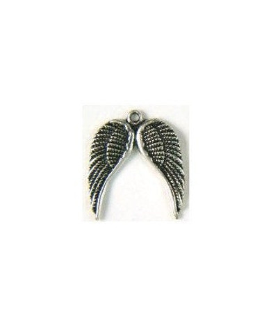 10 Wing Charm , Angel Double Wing Charm