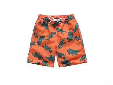 Fun Summer Prints Swim Trunks