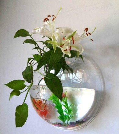Wall-mount Aquarium