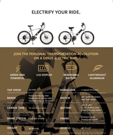 Genze E101 Sport Electric Bike- Silver 350 Watt