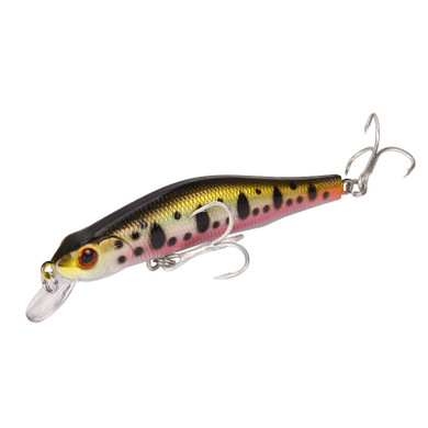 Minnow Fishing Bait