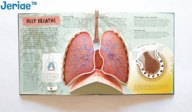 Jeriae™ Anatomy of The Human Body 3D Picture Book
