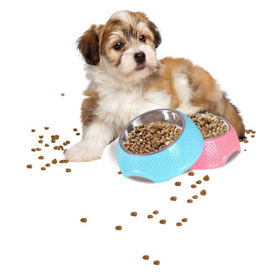 Stainless Steel Pet Bowl - Dry Food & Water Bowls for Cats & Dogs
