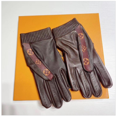 Supreme x Louis Vuitton leather gloves