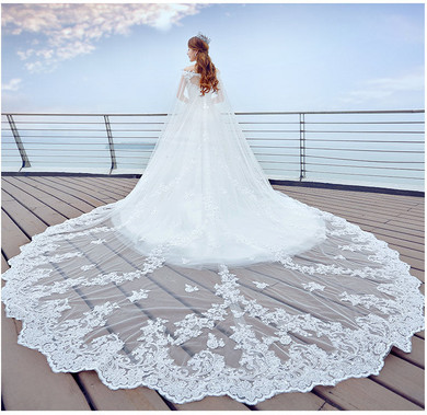 New Arrival Luxury 4 Meters Long Full Edge Lace Wedding Veil One Layer White Ivory Tulle Bridal Veil with Comb Veu de Noiva 2018