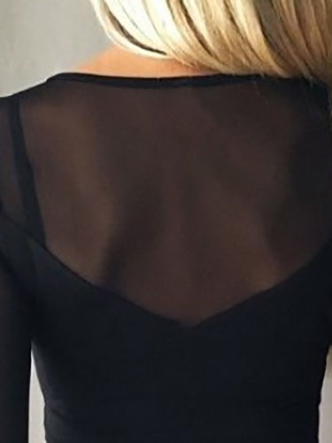 Crew Neck  Patchwork See-Through  Plain Long Sleeve T-Shirts