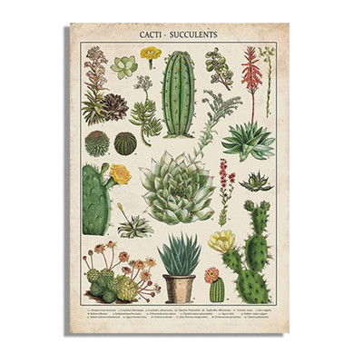 Cacti Print Wall Art