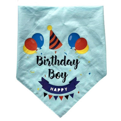 Pet Birthday Costume