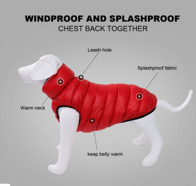 Warm Winter Dog Clothes