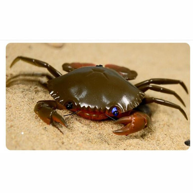 Mini Crab Remote Control Kids Toy