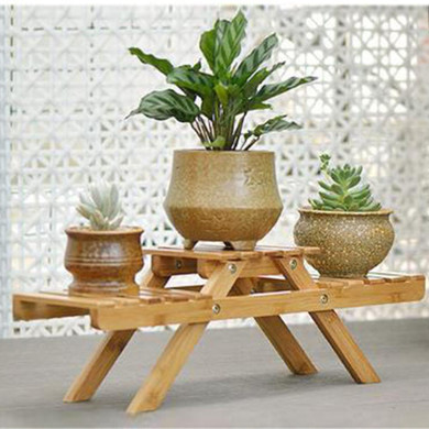 Plant Flower Shelf