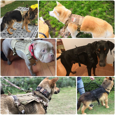 Military Tactical Dog Vest