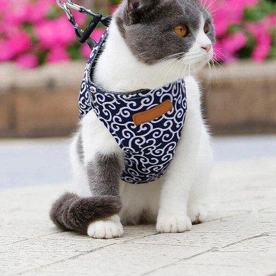 Cat Vest Harness and Leash Set