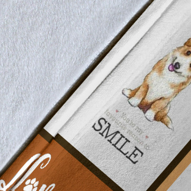 Corgi Dog Money Can Buy A Lot Of Things Fleece Blanket Family Gift Idea For Christmas 2020