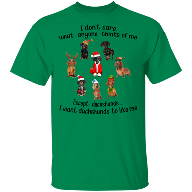 Dachshund I Don't Care What Anyone Think Of Me Shirt Dog With Christmas Accessories T-Shirt