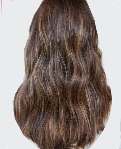 Brown And Blonde Highlight Wig ®