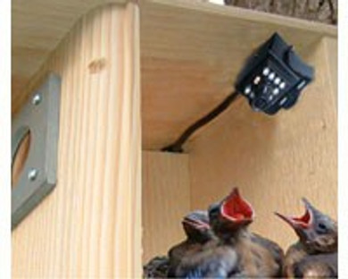 Hawk Eye HD Camera