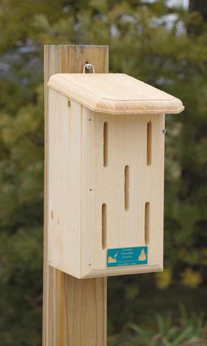 Coveside Small Butterfly House