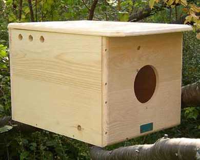 Coveside Barn Owl House