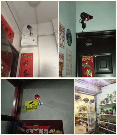 Waterproof Security CCTV Surveillance Camera with Flashing Red LED Light