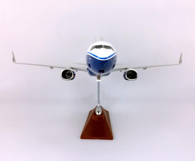 Boeing 737NG Airplane Model (Special Handmade 47CM)