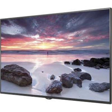55" UHD 500 nit 2 HDMI 1 DP