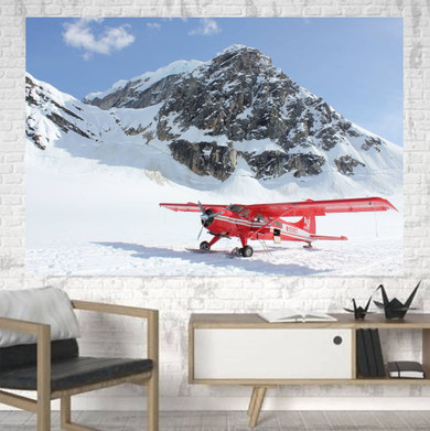 Amazing Snow Airplane Printed Canvas Posters (1 Piece)