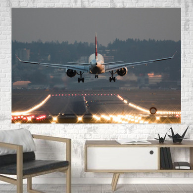 Magnificent Airplane Landing Printed Canvas Posters (1 Piece)