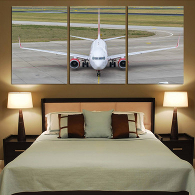 Face to Face with Boeing 737 Printed Canvas Posters (3 Pieces)