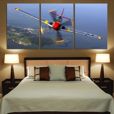 Face to Face Amazing Propeller Printed Canvas Posters (3 Pieces)