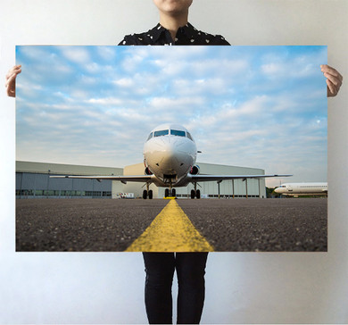 Face to Face with Beautiful Jet Printed Posters