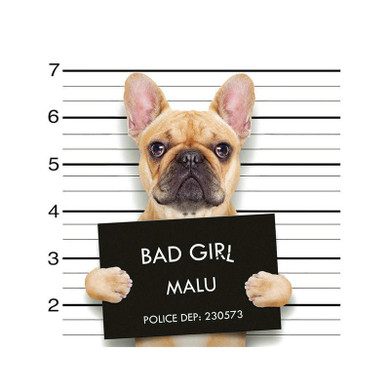 Animal Patches for Clothes Ironing on Heat Transfer Stickers DIY Appliqued Patch Cloth Decorations