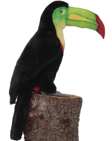 Toucan