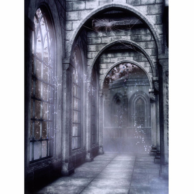 5x7ft Vinyl Retro Old Castle Backdrop Studio Photography Photo Background Props