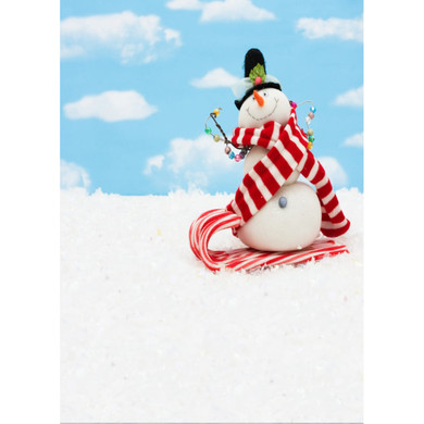 5x7FT Vinyl Blue Sky Snowman Photography Backdrop Background Studio Prop
