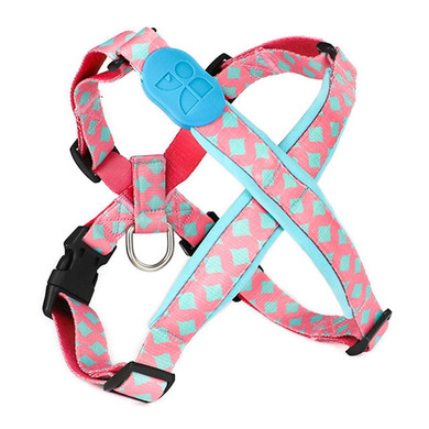 Fashion Belt Harness